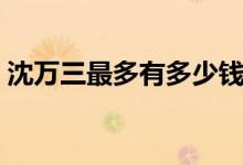 沈万三最多有多少钱（沈万三系列口子全套）