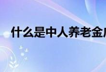什么是中人养老金广西 什么是中人养老金