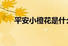 平安小橙花是什么 平安小橙花是什么