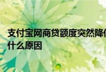 支付宝网商贷额度突然降低了 网商贷申请提额后还降低额度什么原因