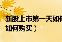 新股上市第一天如何推进去（新股上市第一天如何购买）