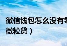 微信钱包怎么没有零钱通（微信钱包怎么没有微粒贷）