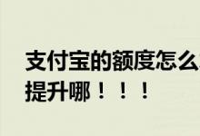 支付宝的额度怎么才会提升 额度怎么才可以提升哪！！！