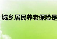 城乡居民养老保险是什么（一年缴费多少钱）