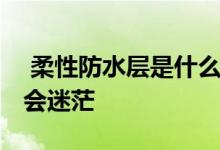  柔性防水层是什么意思？如果你懂防水 就不会迷茫 