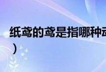 纸鸢的鸢是指哪种动物（鸢指的是哪一种动物）