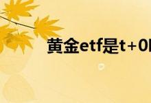 黄金etf是t+0吗 黄金ETF是T0吗
