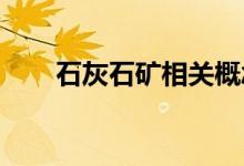 石灰石矿相关概念股票一览你记住吗