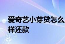 爱奇艺小芽贷怎么主动还款 爱奇艺小芽贷怎样还款