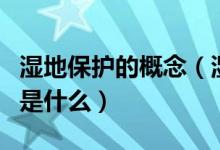 湿地保护的概念（湿地的作用及保护措施分别是什么）
