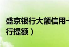 盛京银行大额信用卡（盛京银行信用卡如何进行提额）