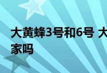 大黄蜂3号和6号 大黄蜂2号和大黄蜂3号是一家吗