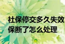 社保停交多久失效 社保最多可以停几个月社保断了怎么处理 