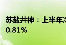 苏盐井神：上半年净利同比预增242.47%-310.81%