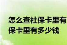 怎么查社保卡里有多少钱可以买药 怎么查社保卡里有多少钱