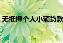 无抵押个人小额贷款（个人无担保小额贷款）