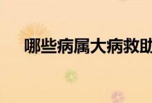 哪些病属大病救助 哪些病属于大病救助