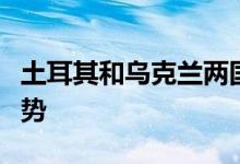 土耳其和乌克兰两国防长通电话谈论乌克兰局势