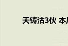  天铸沽3伙 本周五再推11伙招标 