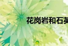  花岗岩和石英岩有什么区别？ 