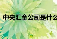 中央汇金公司是什么 中央汇金公司是央企吗