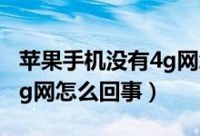 苹果手机没有4g网怎么回事（苹果手机没有4g网怎么回事）