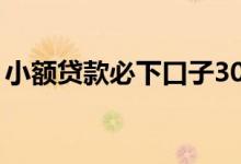小额贷款必下口子30天（小额贷款必下口子）