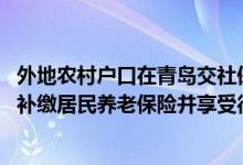 外地农村户口在青岛交社保 外地农民在青岛落户后可一次性补缴居民养老保险并享受待遇吗 