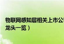 物联网感知层相关上市公司有哪些（物联网感知层上市公司龙头一览）