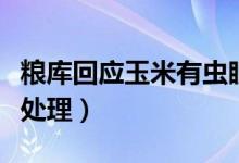 粮库回应玉米有虫眼（情况属实中储粮将介入处理）