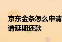 京东金条怎么申请延期还款 京东金条怎么申请延期还款