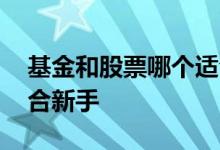 基金和股票哪个适合散户 基金和股票哪个适合新手