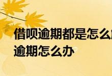 借呗逾期都是怎么解决的 借呗正常还款显示逾期怎么办
