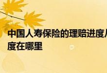 中国人寿保险的理赔进度从哪里查 中国人寿保险查询理赔进度在哪里
