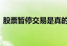 股票暂停交易是真的吗 股票暂停交易正常么