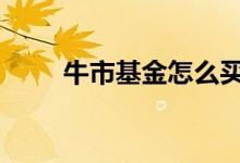 牛市基金怎么买 牛市如何购买基金