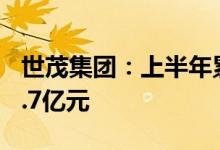 世茂集团：上半年累计合约销售总额约为437.7亿元