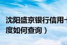 沈阳盛京银行信用卡（盛京银行信用卡申卡进度如何查询）