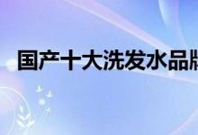 国产十大洗发水品牌（最好用的牌子推荐）