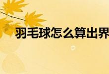 羽毛球怎么算出界（羽毛球怎么算出界）