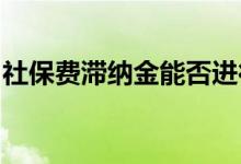 社保费滞纳金能否进行税前扣除，社保费扣除