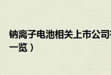 钠离子电池相关上市公司有哪些（钠离子电池上市公司龙头一览）