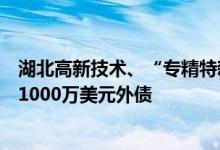 湖北高新技术、“专精特新”企业跨境融资扩容可自主借入1000万美元外债
