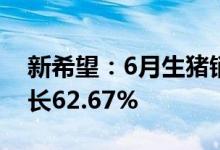 新希望：6月生猪销售收入17.65亿元同比增长62.67%
