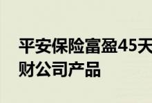 平安保险富盈45天 平安富盈180天是哪个理财公司产品