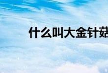 什么叫大金针菇 什么叫大金融板块
