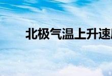 北极气温上升速度是全球变暖的四倍