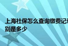 上海社保怎么查询缴费记录 上海社保缴费比例个人和单位分别是多少 