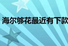 海尔够花最近有下款的吗（海尔够花怎么样）
