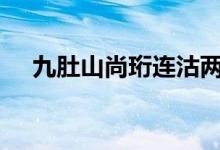  九肚山尚珩连沽两伙 总成交价逾1.25亿 